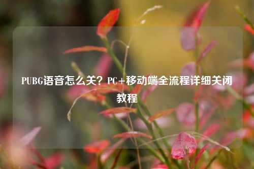 PUBG语音怎么关?PC+移动端全流程详细关闭教程