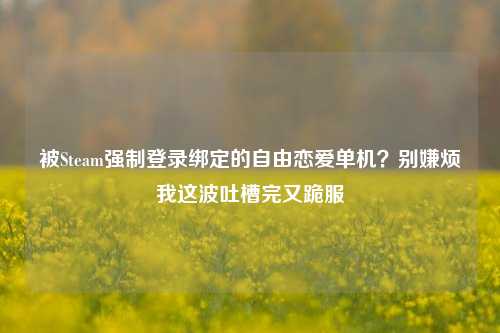 被Steam强制登录绑定的自由恋爱单机?别嫌烦我这波吐槽完又跪服