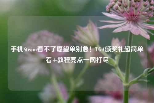 手机Steam看不了愿望单别急!TGA颁奖礼超简单看+教程亮点一网打尽