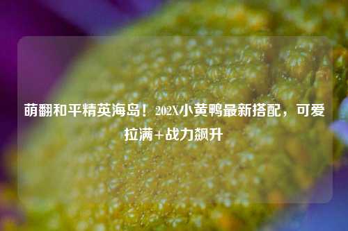 萌翻和平精英海岛!202X小黄鸭最新搭配,可爱拉满+战力飙升