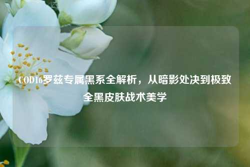 COD16罗兹专属黑系全解析,从暗影处决到极致全黑皮肤战术美学