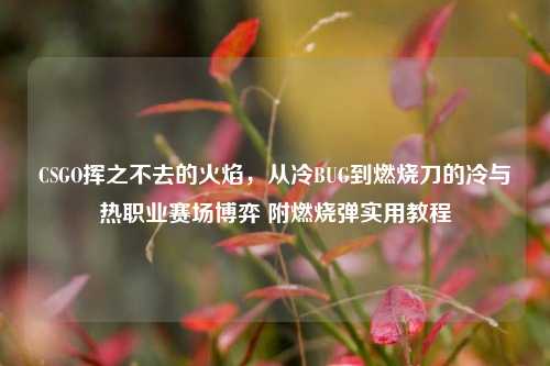 CSGO挥之不去的火焰,从冷BUG到燃烧刀的冷与热职业赛场博弈 附燃烧弹实用教程