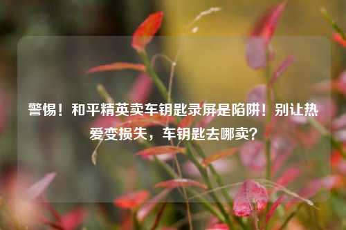 警惕!和平精英卖车钥匙录屏是陷阱!别让热爱变损失,车钥匙去哪卖?
