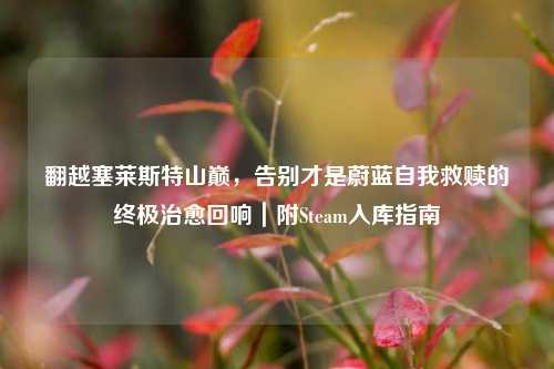 翻越塞莱斯特山巅,告别才是蔚蓝自我救赎的终极治愈回响|附Steam入库指南