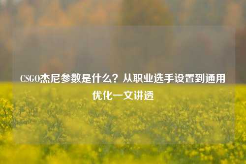 CSGO杰尼参数是什么?从职业选手设置到通用优化一文讲透