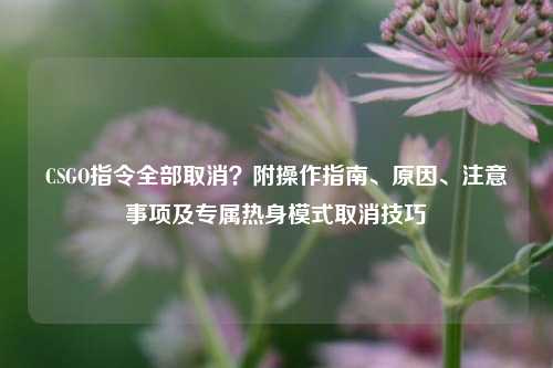 CSGO指令全部取消?附操作指南、原因、注意事项及专属热身模式取消技巧