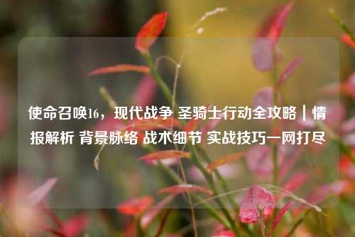 使命召唤16,现代战争 圣骑士行动全攻略|情报解析 背景脉络 战术细节 实战技巧一网打尽