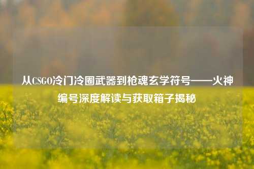 从CSGO冷门冷圈武器到枪魂玄学符号——火神编号深度解读与获取箱子揭秘