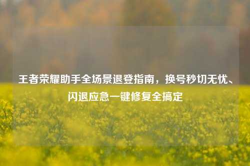 王者荣耀助手全场景退登指南,换号秒切无忧、闪退应急一键修复全搞定