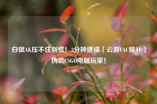 白银AK压不住别慌!3分钟速成「云游VAC候补」伪装CSGO电脑玩家!