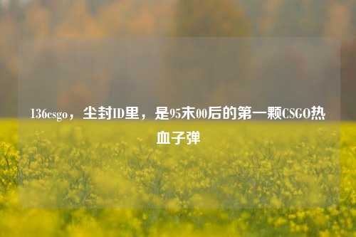 136csgo,尘封ID里,是95末00后的第一颗CSGO热血子弹