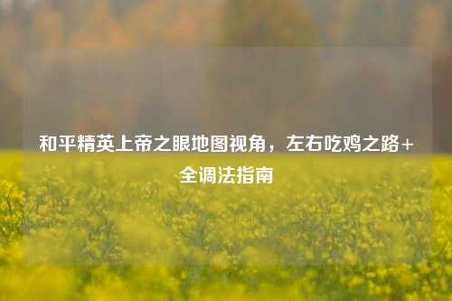 和平精英上帝之眼地图视角,左右吃鸡之路+全调法指南