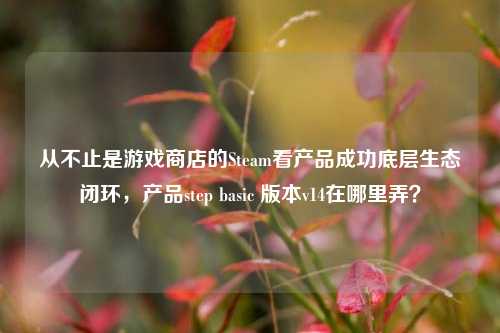 从不止是游戏商店的Steam看产品成功底层生态闭环,产品step basic 版本v14在哪里弄?