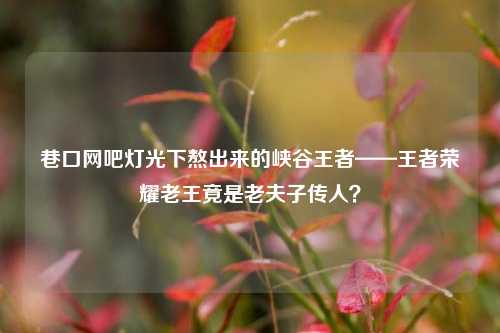 巷口网吧灯光下熬出来的峡谷王者——王者荣耀老王竟是老夫子传人?