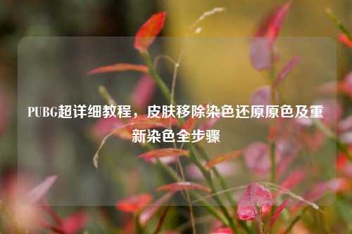 PUBG超详细教程,皮肤移除染色还原原色及重新染色全步骤