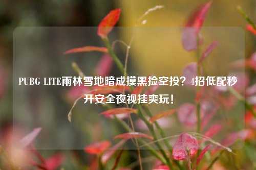 PUBG LITE雨林雪地暗成摸黑捡空投?4招低配秒开安全夜视挂爽玩!