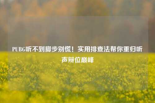 PUBG听不到脚步别慌!实用排查法帮你重归听声辩位巅峰