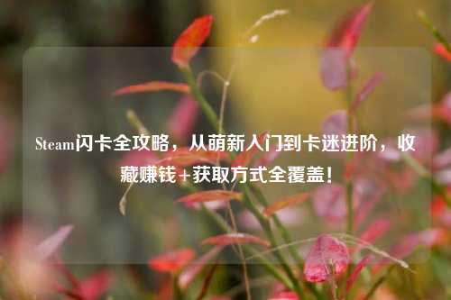 Steam闪卡全攻略,从萌新入门到卡迷进阶,收藏赚钱+获取方式全覆盖!