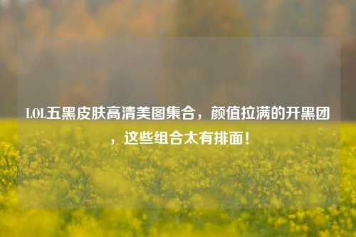 LOL五黑皮肤高清美图集合,颜值拉满的开黑团,这些组合太有排面!