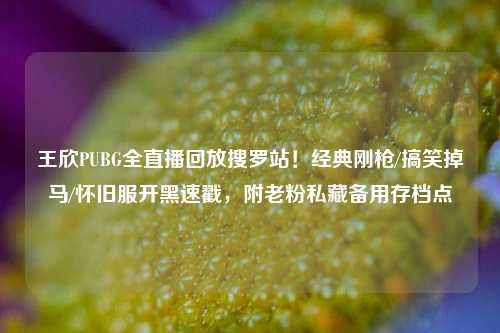 王欣PUBG全直播回放搜罗站!经典刚枪/搞笑掉马/怀旧服开黑速戳,附老粉私藏备用存档点
