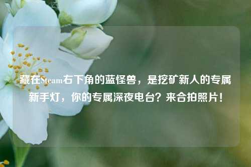 藏在Steam右下角的蓝怪兽,是挖矿新人的专属新手灯,你的专属深夜电台?来合拍照片!