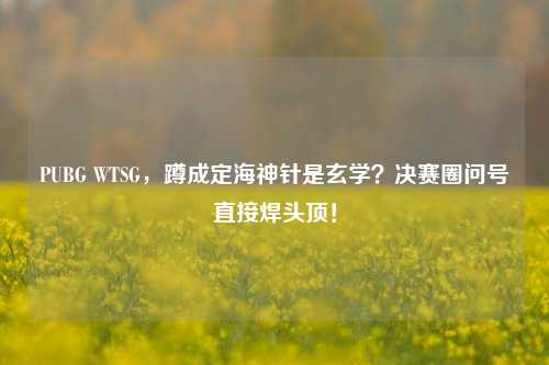PUBG WTSG,蹲成定海神针是玄学?决赛圈问号直接焊头顶!