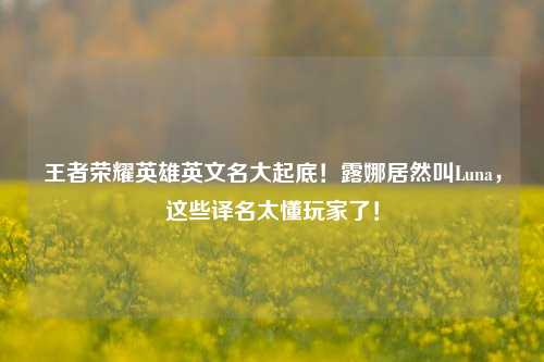 王者荣耀英雄英文名大起底!露娜居然叫Luna,这些译名太懂玩家了!