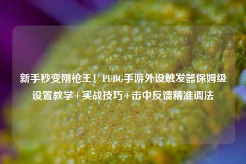 新手秒变刚枪王!PUBG手游外设触发器保姆级设置教学+实战技巧+击中反馈精准调法