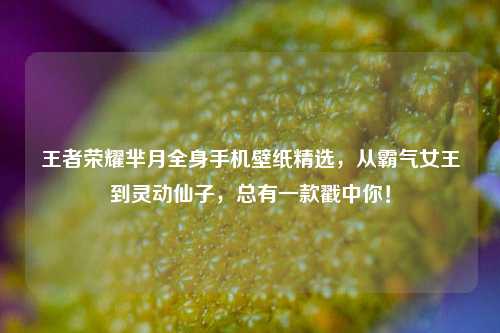 王者荣耀芈月全身手机壁纸精选,从霸气女王到灵动仙子,总有一款戳中你!