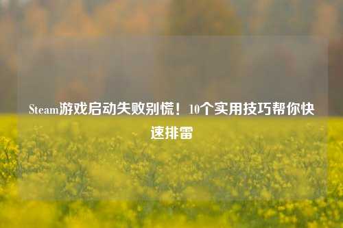 Steam游戏启动失败别慌!10个实用技巧帮你快速排雷