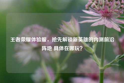 王者荣耀体验服,抢先解锁新英雄的内测前沿阵地 具体在哪玩?