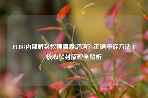 PUBG内部解封教程真靠谱吗?正确申诉方法+核心解封原理全解析
