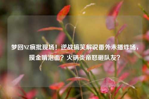 梦回NZ疯批现场!逆战搞笑解说番外未播炸场,摸金啃泡面?火锅炎帝怒砸队友?
