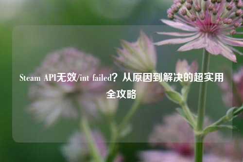 Steam API无效/int failed？从原因到解决的超实用全攻略