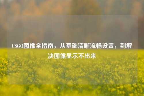 CSGO图像全指南,从基础清晰流畅设置,到解决图像显示不出来