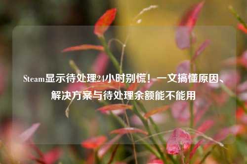 Steam显示待处理24小时别慌!一文搞懂原因、解决方案与待处理余额能不能用