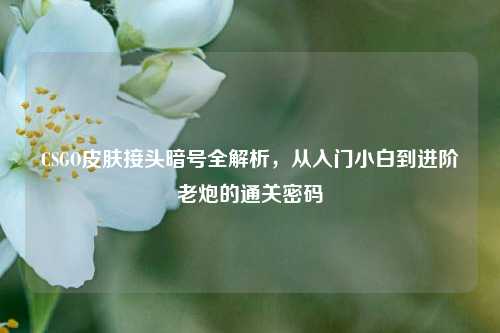 CSGO皮肤接头暗号全解析,从入门小白到进阶老炮的通关密码