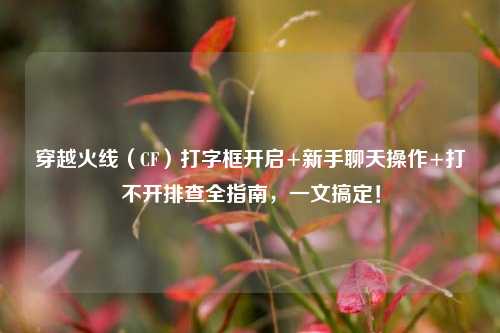 穿越火线(CF)打字框开启+新手聊天操作+打不开排查全指南,一文搞定!