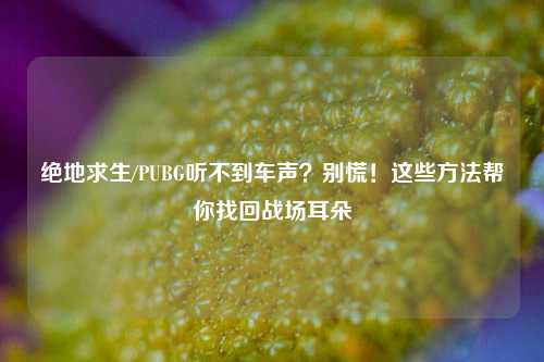 绝地求生/PUBG听不到车声?别慌!这些方法帮你找回战场耳朵