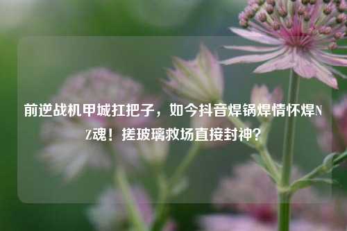 前逆战机甲城扛把子,如今抖音焊锅焊情怀焊NZ魂!搓玻璃救场直接封神?