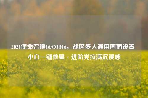 2021使命召唤16/COD16,战区多人通用画面设置 小白一键救星·进阶党拉满沉浸感