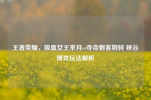 王者荣耀,吸血女王芈月vs夺命刺客荆轲 峡谷博弈玩法解析