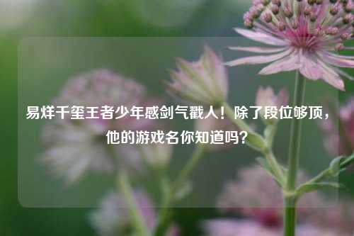 易烊千玺王者少年感剑气戳人!除了段位够顶,他的游戏名你知道吗?