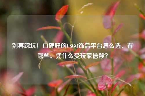 别再踩坑!口碑好的CSGO饰品平台怎么选、有哪些、凭什么受玩家信赖?