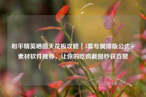 和平精英晒图天花板攻略|3套专属排版公式+素材软件推荐,让你的吃鸡截图秒获百赞
