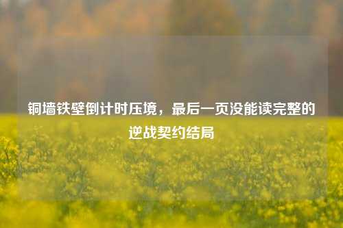 铜墙铁壁倒计时压境,最后一页没能读完整的逆战契约结局