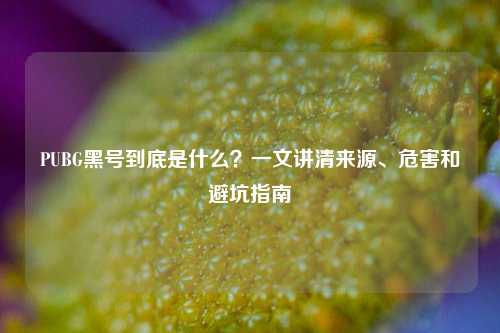 PUBG黑号到底是什么?一文讲清来源、危害和避坑指南