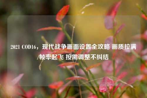 2021 COD16,现代战争画面设置全攻略 画质拉满/帧率起飞 按需调整不纠结