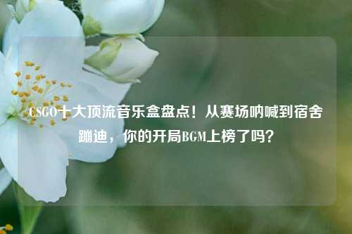 CSGO十大顶流音乐盒盘点!从赛场呐喊到宿舍蹦迪,你的开局BGM上榜了吗?