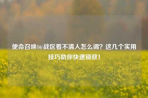使命召唤16/战区看不清人怎么调?这几个实用技巧助你快速锁敌!